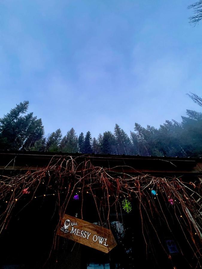 The Messy Owl Inn & Eco Haven Likely Kültér fotó